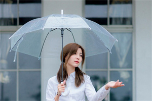 上海各区新茶工作室：The studio showcases the profoundness and cultural connotations of tea